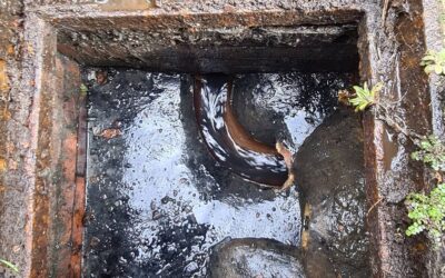 Blocked Drains in Leyland